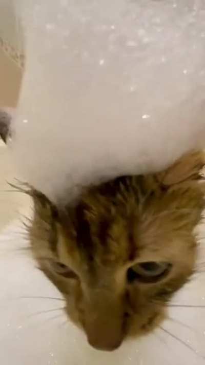 Cute soap hat