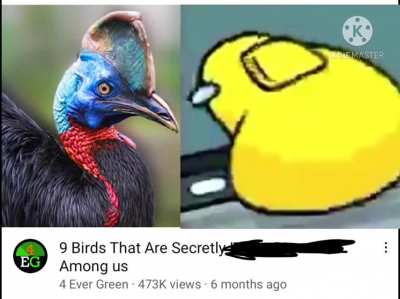 Among us