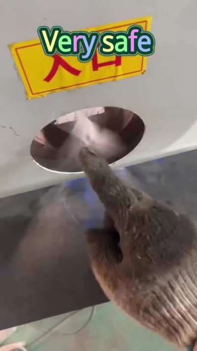 определённо не стоит сувать туда член...