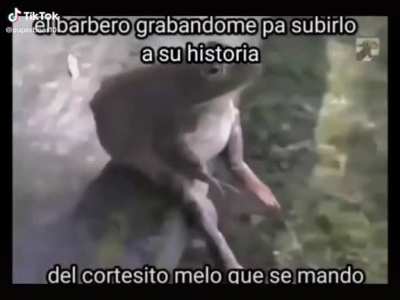 se le ve bien fresco a mi pana carlitos