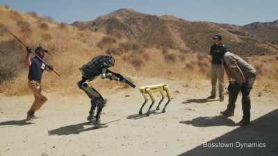 Humans bully a robot to kill a robotic dog