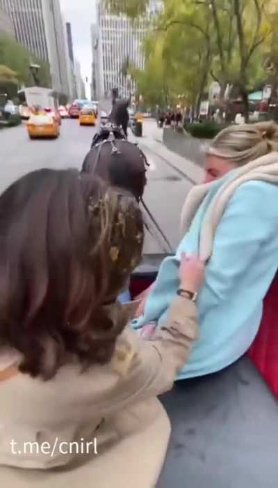 被马喷粪