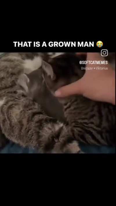 Whyyyyyyyyyy 😭