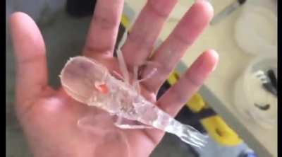 🔥 A scientist from Oregon found this sea creature called Cystisoma