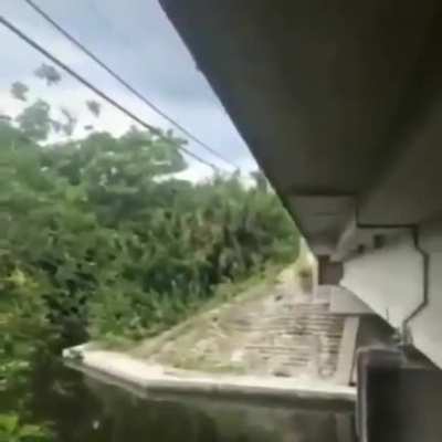 AAA