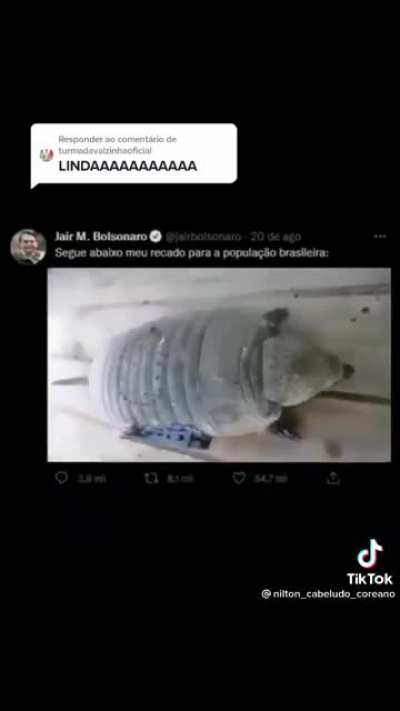 tatu jtabl