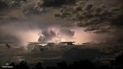 Nature is awesome