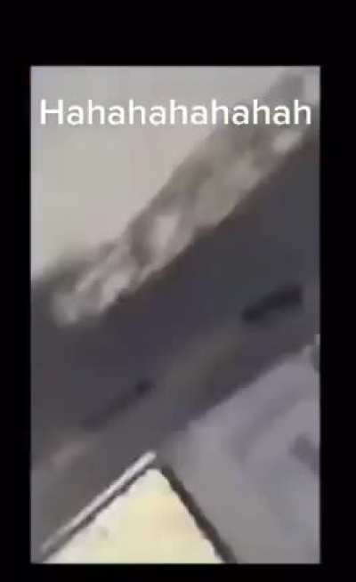 Just let the dogs be in peace