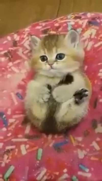 Немного милоты
