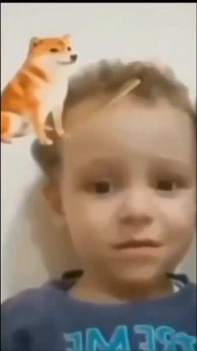 Bonk