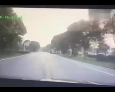 DylanteroYT - Video #3335