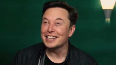 Elon Musk reacts to deer.