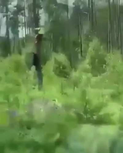 Elmer Fudd-esque