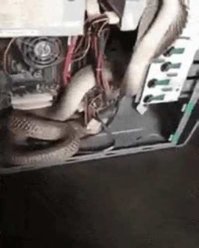 Wyr: Guardian of the Magic Heat Box