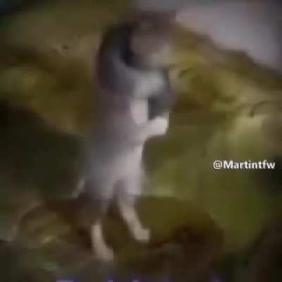 No kiss before marriage