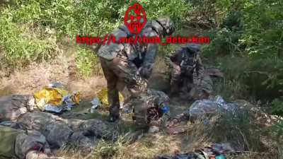Ukraine forces killed in forest in the border area of Kursk 