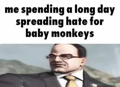 I fuckign HATE baby monkey