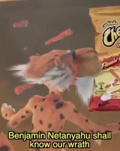 Chester?
