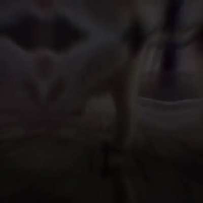 un baile bien rikoh :3