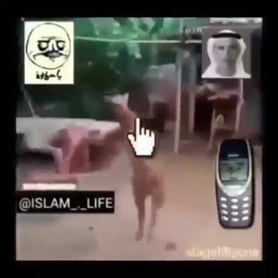 بعقب لحم الخنزير الحلال 🤮🤮😨😨😞😞