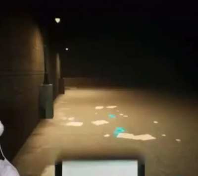 Just some vidya