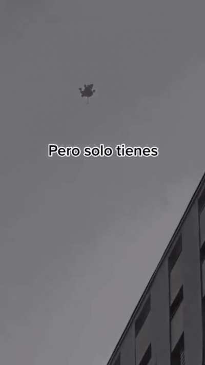 Ay mi pendejo 🤦🏻&zwj;♂️