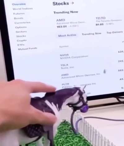 The stupid fucking horse I cast a shrink spell on is now my computer mouse for eternity