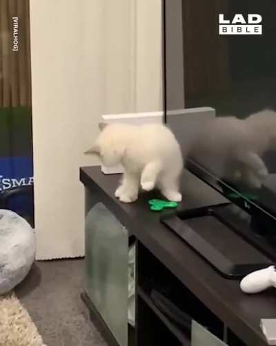 Finish him!
