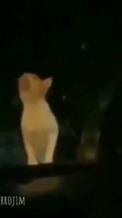 AAAAAAA