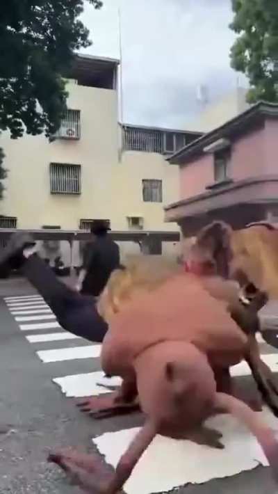 Blursed_cockroach