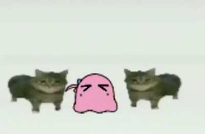 This is a Bocchi