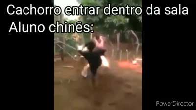 &Eacute; ver&iacute;dico essa informa&ccedil;&atilde;o?