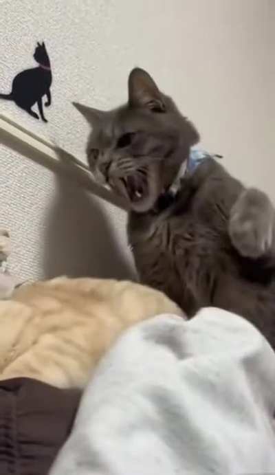 Don't you dare