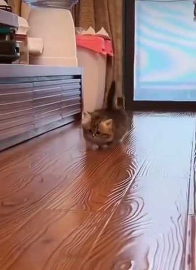 So cute😍