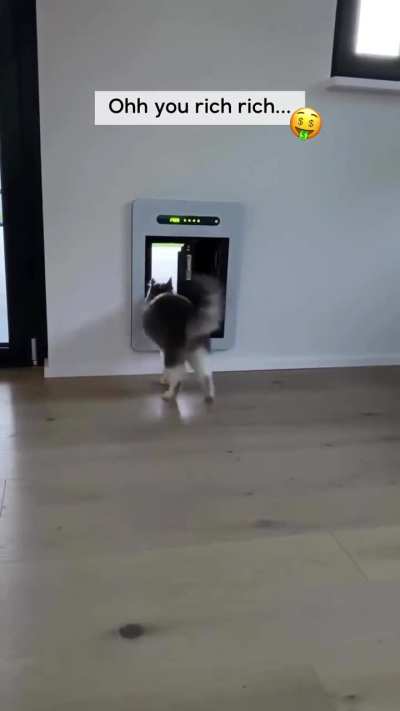 This cat lives in a higher tax bracket than you&hellip;.
