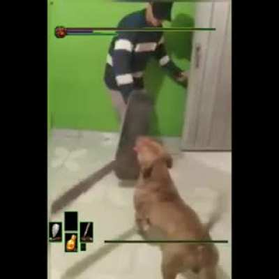 dark souls colombia