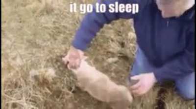 My parents making me sleep at 1 AM