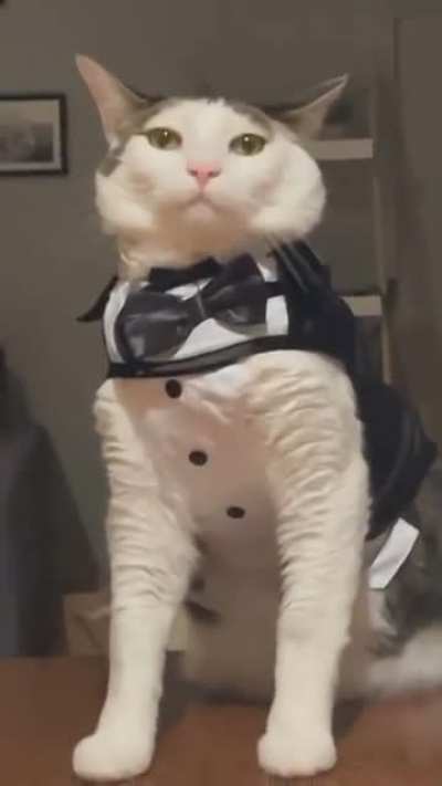 such a poser