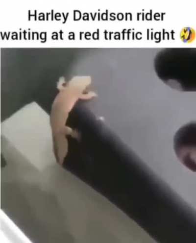 an interesting observation
