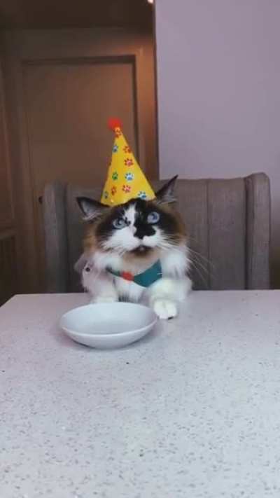 Who wants cake?