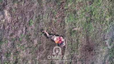 [NSFW] A Ukrainian drone drops a munition on a Russian soldier, blowing his torso open and exposing his still beating heart. Posted by the 5th Detachment of Special Purpose Center 
