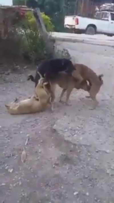 Панина не хватает