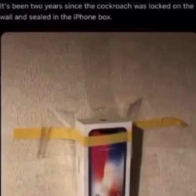 No mames 2 a&ntilde;os cabron