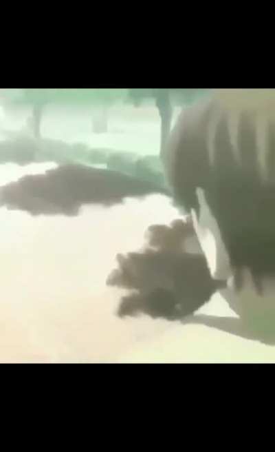 L com autismo
