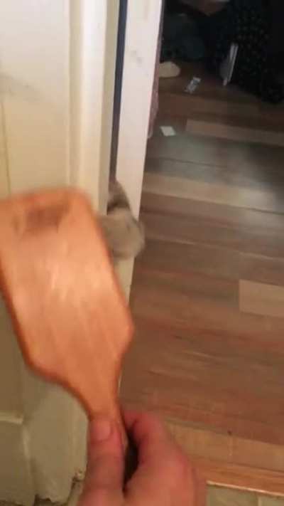 No brush is safe