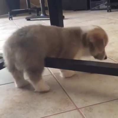 Oh no! He&rsquo;s stuck