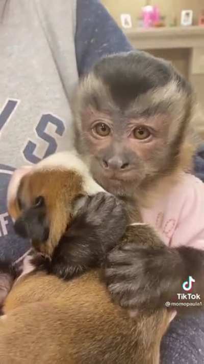 Don&rsquo;t worry baby..you&rsquo;re safe in my arms...