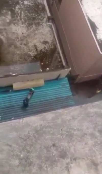 New Type of Parkour