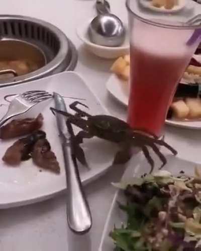 Free him