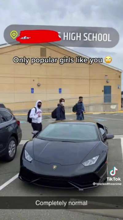 Don't buy a lambo if your EMO guys it makes you too popular 🤮